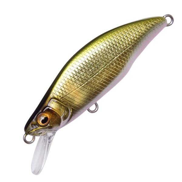GH64 HUMPBACK(FS)(AL シャイニーケイムラアユ)